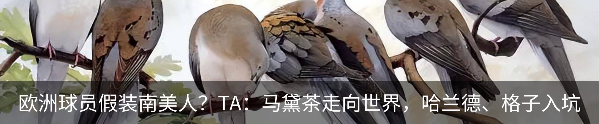 资讯动态